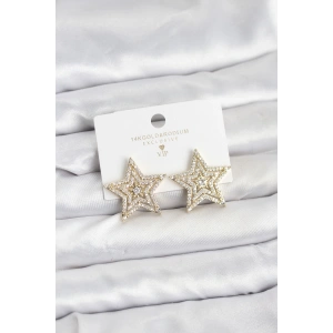 Erb Gold Renk Pirinç Zirkon Taşlı Yıldız Model Kadın Küpe