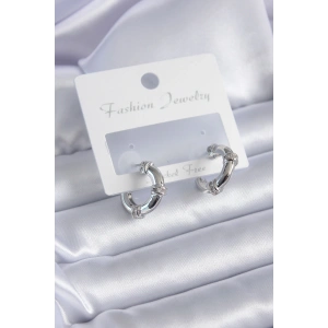 Erb Gümüş Renk Zirkon Taşlı Halka Model Pirinç Kadın Küpe