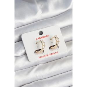 Erb Pirinç Gold Renk Kalpli Zirkon Taşlı Kadın Küpe