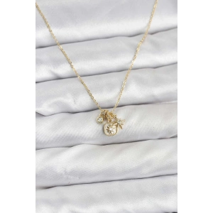 Erb Pirinç Gold Renk Minimal Charmlı Kadın Kolye