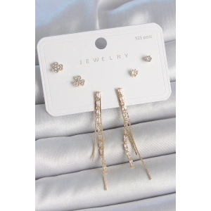 Erb Pirinç Gold Renk Su Yolu Zirkon Taşlı Sallantı Model Çiçek Detay 925 Ayar Gümüş Çivi Kadın Küpe Seti