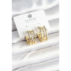 Erb Pirinç Gold Renk Taşlı Halka Kadın Küpe