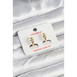 Erb Pirinç Gold Renk Yıldız Kadın Küpe