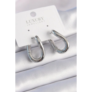 Erb Pirinç Gümüş Renk Halka Model Kadın Küpe