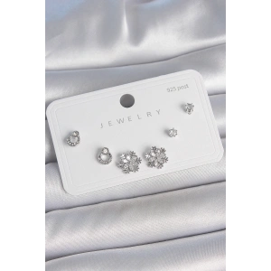 Erb Pirinç Gümüş Renk Zirkon Taşlı Kar Tanesi Model 925 Ayar Gümüş Çivi Kadın Küpe Seti