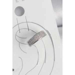 Erb Pirinç Gümüş Renk Zirkon Taşlı Kıkırdak Model Kadın Küpe