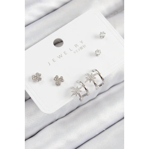 Erb Pirinç Zirkon Taşlı Kutup Yıldızı Model Gümüş Renk 925 Ayar Gümüş Çivi Kadın Küpe Set