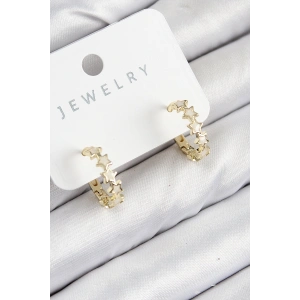 Erb Pirinç Zirkon Taşlı Yıldız Model Gold Renk Kadın Küpe