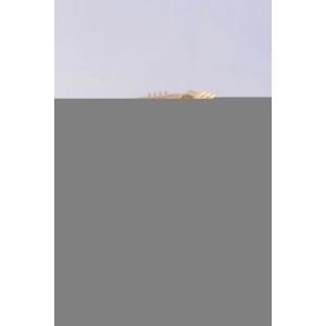 Erb Vip Seri Pirinç Pembe Zirkon Taşlı Gold Renk Baget Model Bileklik