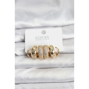 Erb Zirkon Taşlı Pirinç Gold Renk Halka Kadın Küpe Seti