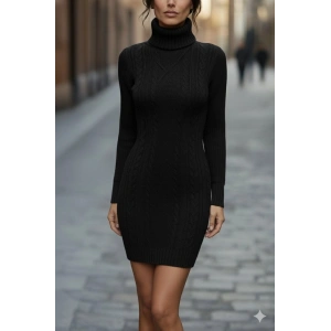 Kadın Uzun Kollu Balıkçı Yaka Kısa Triko Elbise