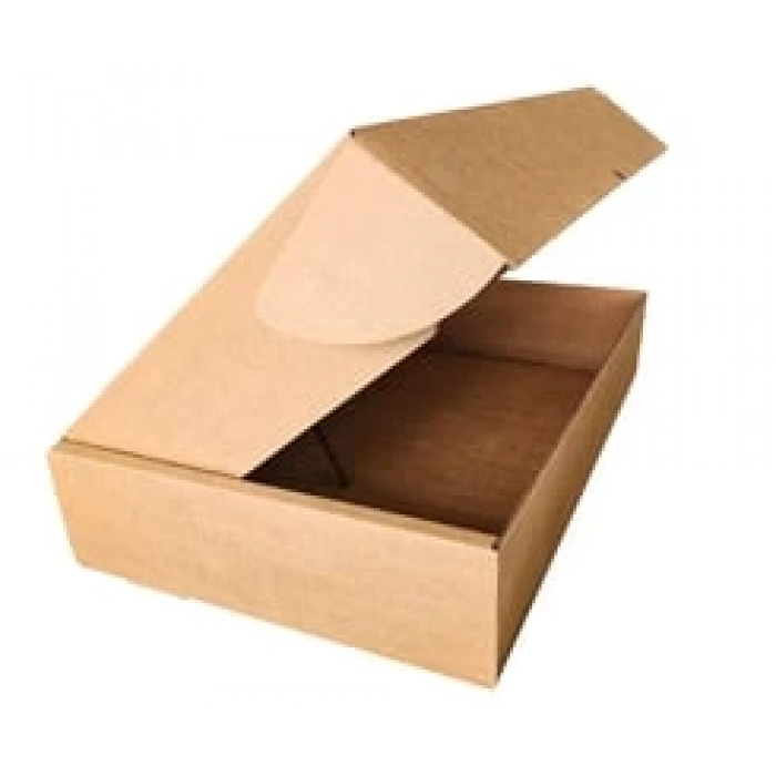 KARTON KARGO KUTUSU 27x32x10