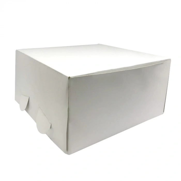 SAPSIZ TURTA KUTUSU NO:1