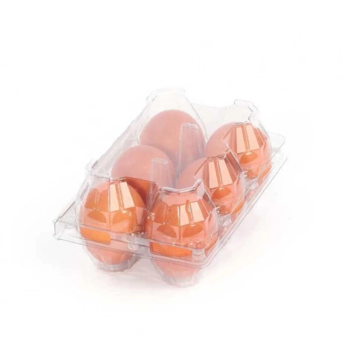 YUMURTA VİYOLÜ 6*2