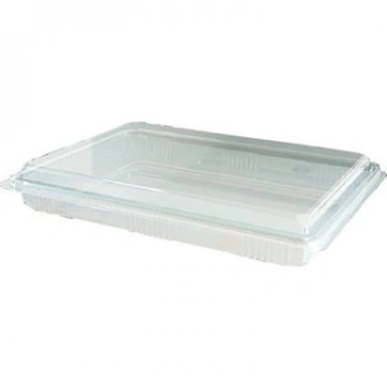 Sızdırmaz Baklava Kabı 500 gr 100lü