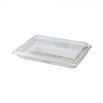 Sızdırmaz Baklava Kabı 750 gr 100’lü