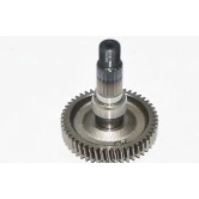 ARKA ŞANZIMAN DİŞLİSİ GÖBEKLİ ZENZERO