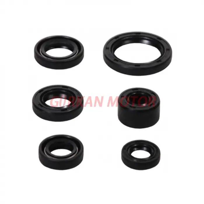 KEÇE TAKIMI [6 LI SET] CUB