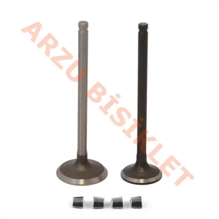 SUBAP TAKIMI [TIRNAKLI] [VTC] DİO - Y.M ACTIVA