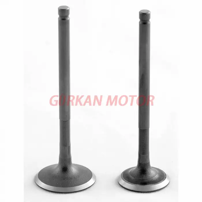 SUBAP TAKIMI FİZY / HUSSAR / MASH / ZAT/ GRACE 202 / NOVAX 200 /[TIRNAKLI] [VTC]