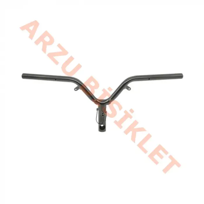 DİREKSİYON [GİDON] - KUBA BLUEBIRD