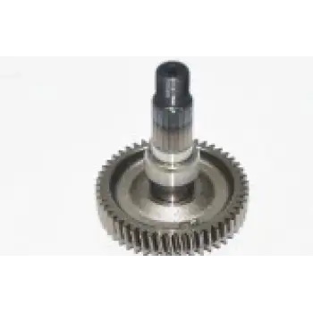 ARKA ŞANZIMAN DİŞLİSİ GÖBEKLİ ZENZERO