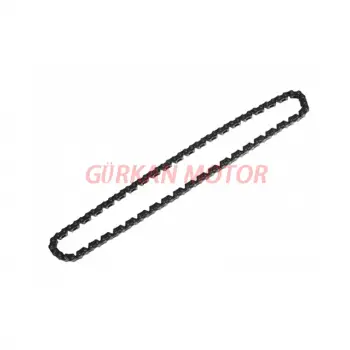 EKSANTRİK ZİNCİRİ [100L] CG - WİNDY