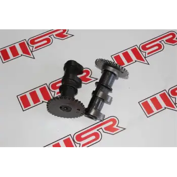 EKSANTRİK MİLİ CF 250 NK 2 Lİ SET