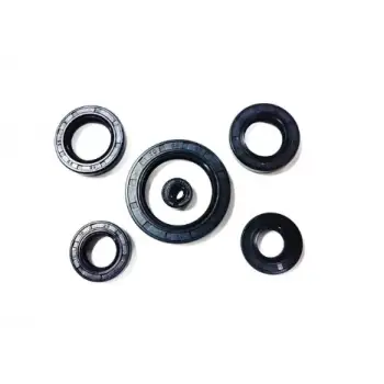 KEÇE TAKIMI PULSAR NS 200