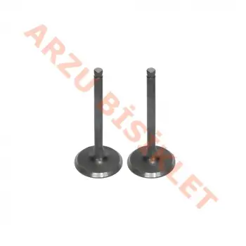 SUBAP TAKIMI - RKS NEWLIGHT / WILD CAT / PESARO 125 / MATRIX 125 / BRİLLANT