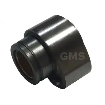 CG DERECELİ EKSTRANTİK BADEM