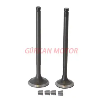 SUBAP TAKIMI [TIRNAKLI] [VTC] CG 100