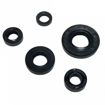 KEÇE TAKIMI [5 Lİ SET] APACHE