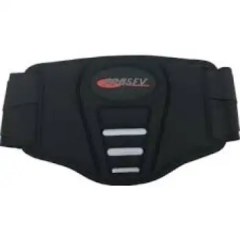 MOTOR BELLİK KORUMA
