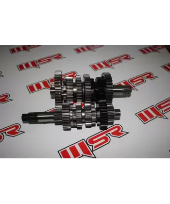ŞANZIMAN DİŞLİ SETİ CF MOTO 250 NK OEM