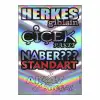 A5 HOLOGRAM STİCKER