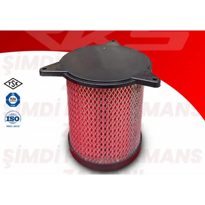 BOSS HAVA FİLTRESİ RKS - R 250