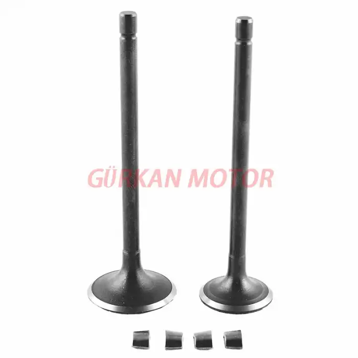 SUBAP TAKIMI [TIRNAKLI]  CG 100