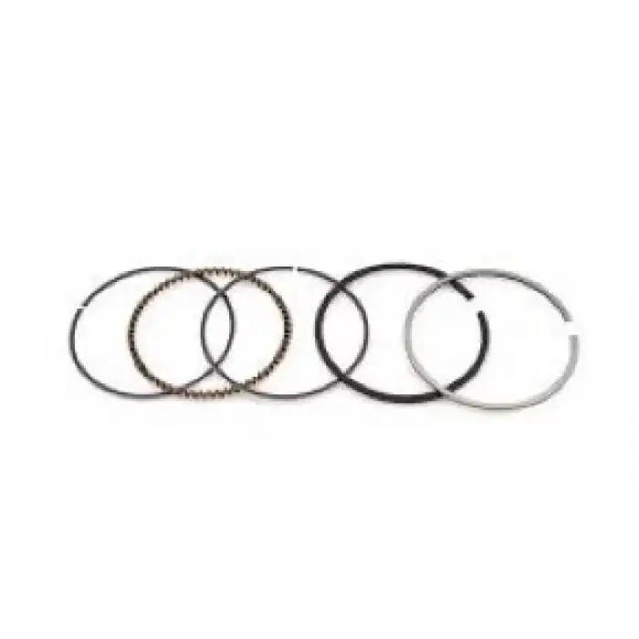 SEGMAN TAKIMI 65,5 MM*0,8