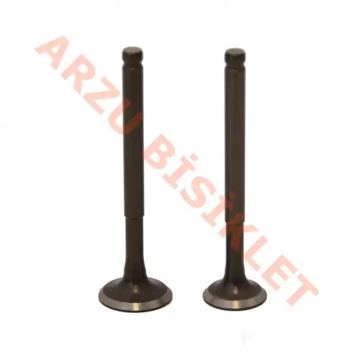 SUBAP TAKIMI [TIRNAKLI] [VTC] 50CC SCOOTER BLAZER XR - BLUEBIRD - SPACE