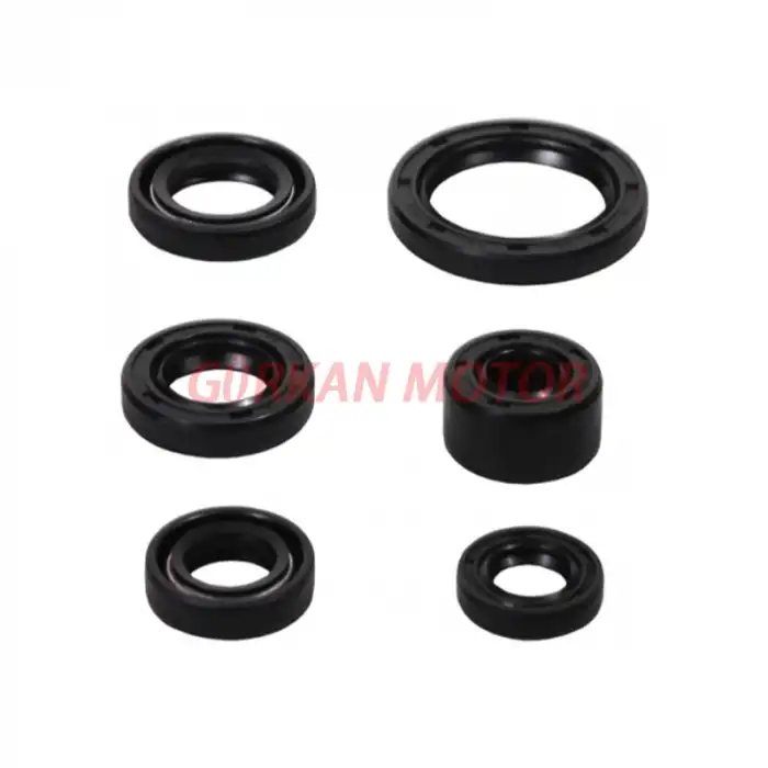 KEÇE TAKIMI [6 LI SET] CUB