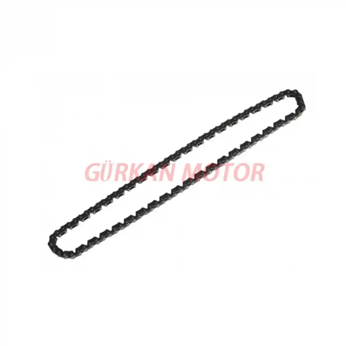 EKSANTRİK ZİNCİRİ [100L] CG - WİNDY - TK03