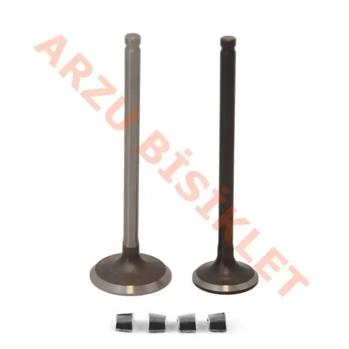 SUBAP TAKIMI [TIRNAKLI] [VTC] DİO - Y.M ACTIVA