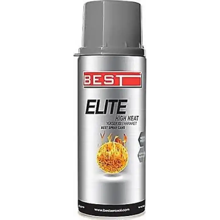 ISIYA DAYANIKLI  YANMAZ BOYA  GÜMÜŞ 400 ML BEST