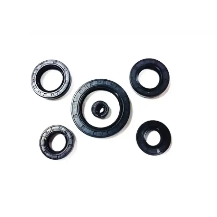 KEÇE TAKIMI PULSAR NS 200