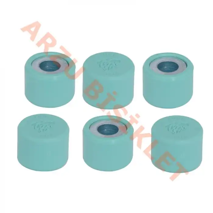 SPACY / SPONTİNİ AĞIRLIK SETİ 6 LI SET [LEONE] 12gr BAGA