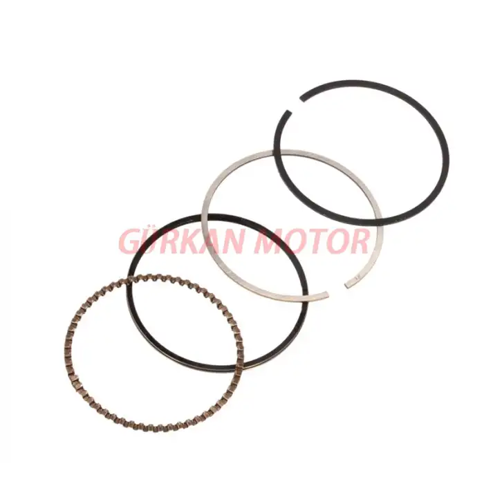 SEGMAN TAKIMI ACTIVA - BEAT - SPACY