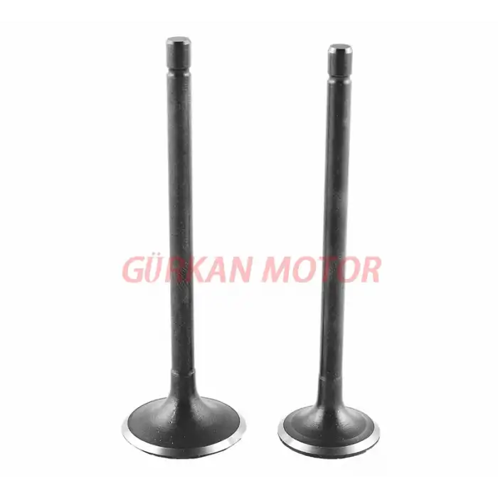 SUBAP TAKIMI [TIRNAKLI] KUBA CR1