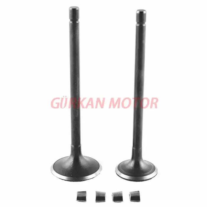 SUBAP TAKIMI [TIRNAKLI]  [VTC]  CG 250