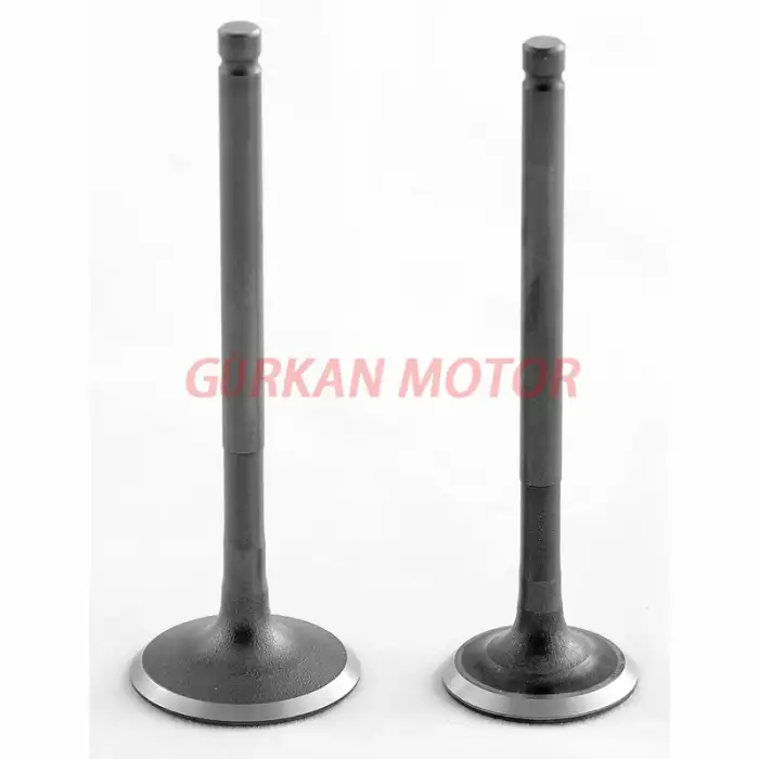 SUBAP TAKIMI FİZY / HUSSAR / MASH / ZAT/ GRACE 202 / NOVAX 200 /[TIRNAKLI]  [VTC]